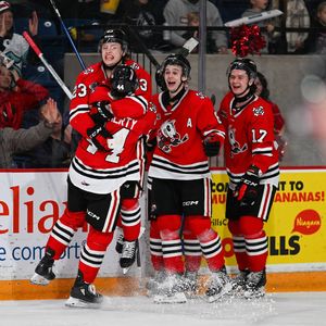 Image post by @ohlicedogs on Instagram