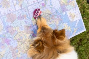 Image post by @reveille on Twitter