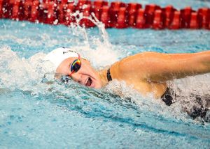 Image post by @arizonaswimdive on Instagram