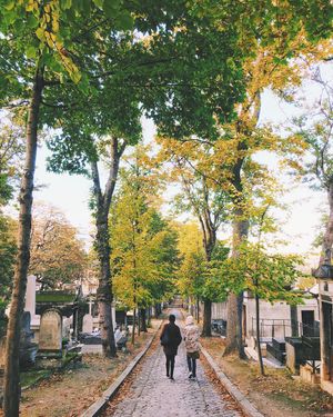 Image post by @kirstenalana on Instagram