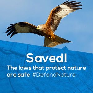 Image post by @rspb on Instagram