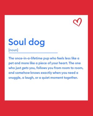 Image post by @petsmart on Instagram