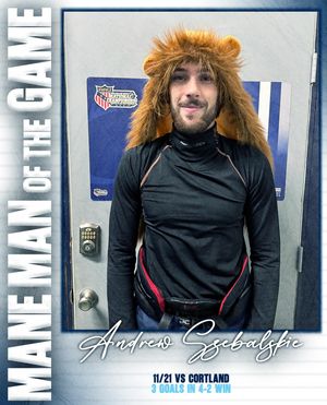 Image post by @pennstateharrisburghockey on Instagram