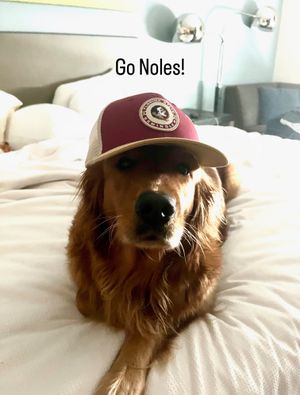 Image post by @barstoolfsu on Instagram