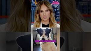 Video post by @tomilahrenisfearless on YouTube