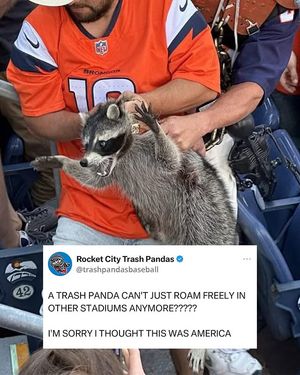Image post by @trashpandasbaseball on Instagram