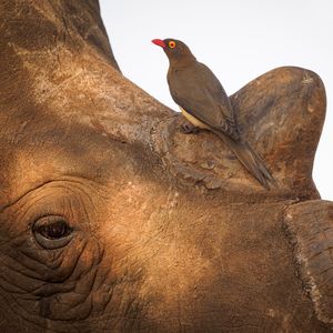 Image post by @discovery on Instagram