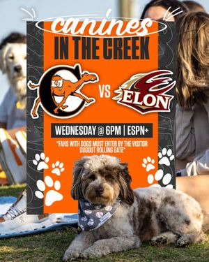 Image post by @GoCamelsBSB on Twitter