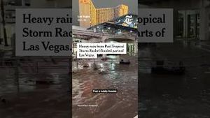Video post by @nytimes on YouTube