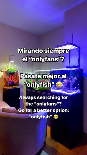 Video post by @aqualupi on Instagram