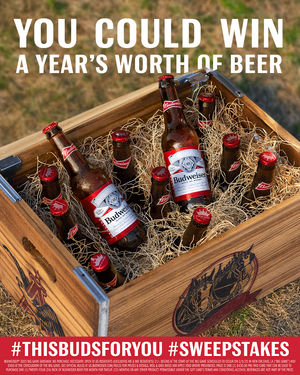 Image post by @budweiserusa on Twitter