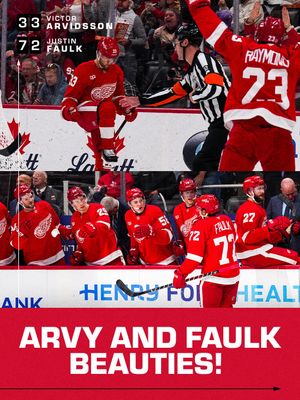 Image post by @detroitredwings on Instagram