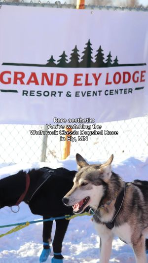Video post by @grandelylodge on Facebook