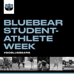 Image post by @bluebearathletics on Instagram