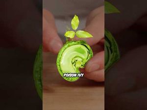 Video post by @NickDiGiovanni on YouTube