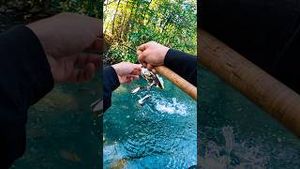 Video post by @jonasederfishing on YouTube