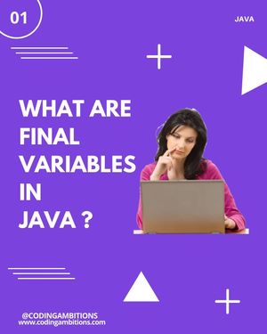 Image post by @codingambitions on Instagram