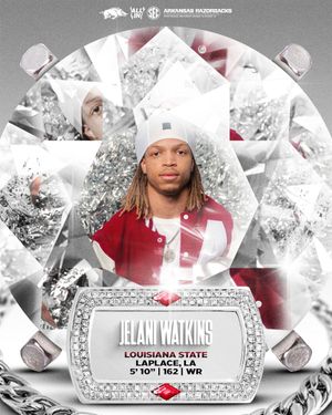 Image post by @RazorbackFB on Twitter