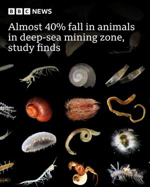 Image post by @bbcnews on Instagram