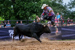 Image post by @ultimatebullfighters on Instagram