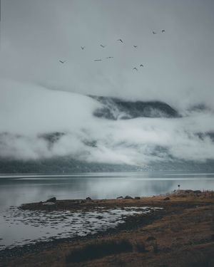 Image post by @kszczuka on Instagram