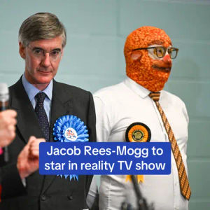 Image post by @dailymailuk on TikTok