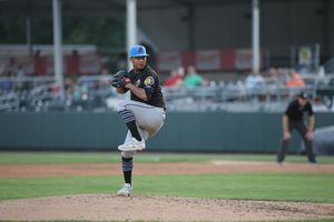 Image post by @akronrubberducks on Instagram