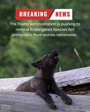 Image post by @centerforbiodiv on Instagram