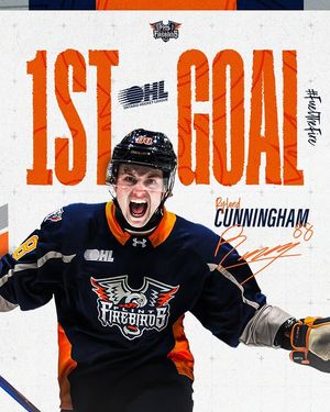 Image post by @flintfirebirds on Instagram