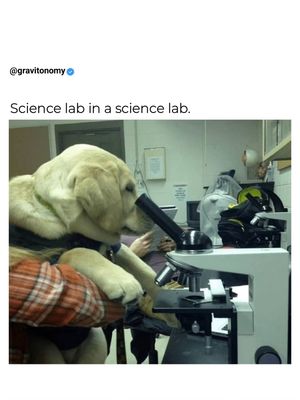 Image post by @gravitonomy on Instagram