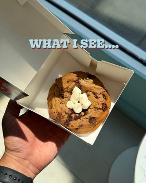 Image post by @chipcitycookies on Instagram