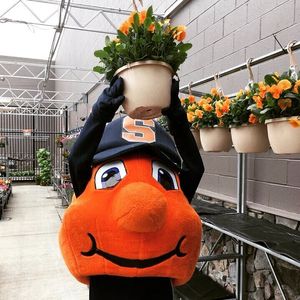 Image post by @theottoorange on Instagram