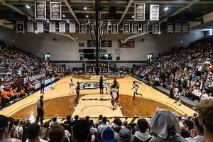 Image post by @gobonnies on Instagram