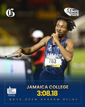 Image post by @jamaicagleaner on Instagram