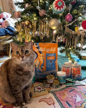Image post by @solidgoldpets on Instagram
