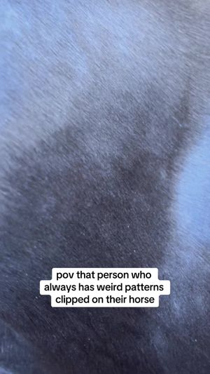 Video post by @millicentstennett on TikTok