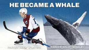 Video post by @coloradoavalanche on YouTube
