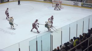 Image post by @bearsandpandas on Instagram