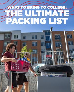 Image post by @uofcincy on Instagram