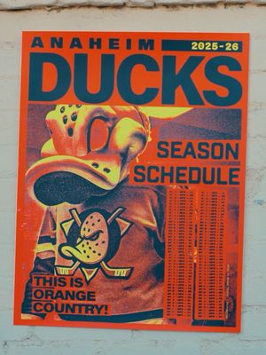 Image post by @anaheimducks on Instagram
