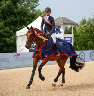 Image post by @usequestrian on Instagram