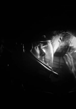 Video post by @lizaotovo on TikTok