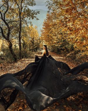 Image post by @alikaragozphoto on Instagram