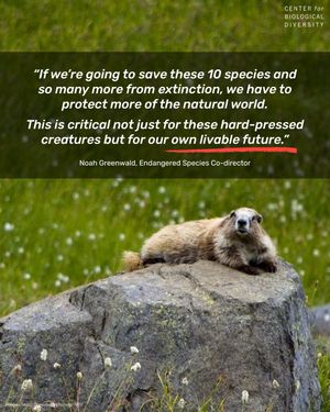 Image post by @centerforbiodiv on Instagram
