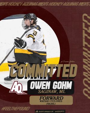 Image post by @aquinashockeycommitments on Instagram