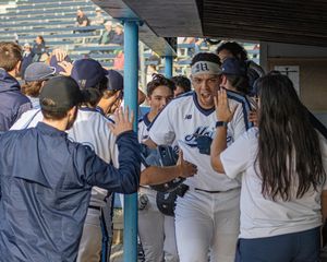 Image post by @mainebaseball on Instagram