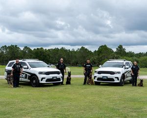 Image post by @palmbaypd on Instagram