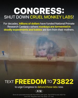 Image post by @peta on Instagram