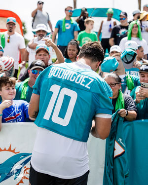 Image post by @dolphins_br on Instagram
