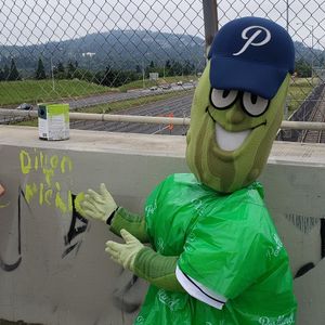 Image post by @picklesbaseball on Instagram